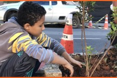  População pode solicitar à Prefeitura o plantio de mudas na calçada de casa